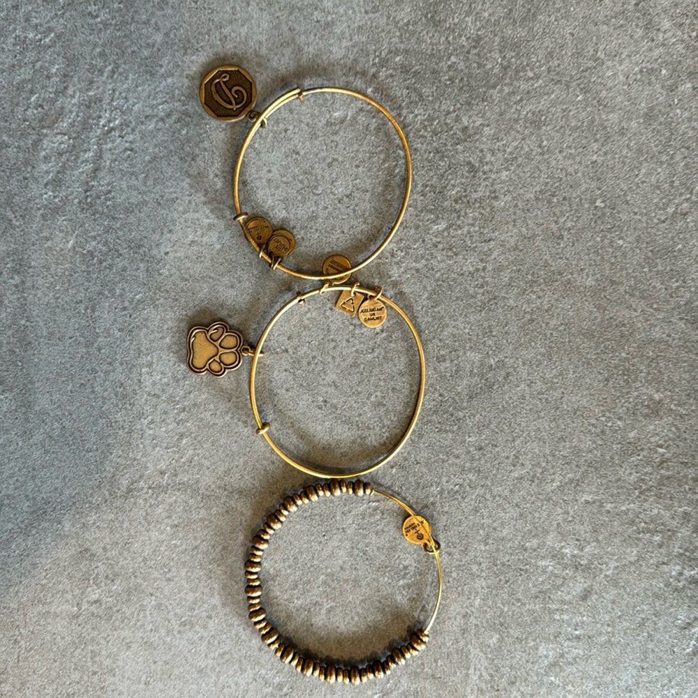 Alex and Ani Set of Three Bracelets
